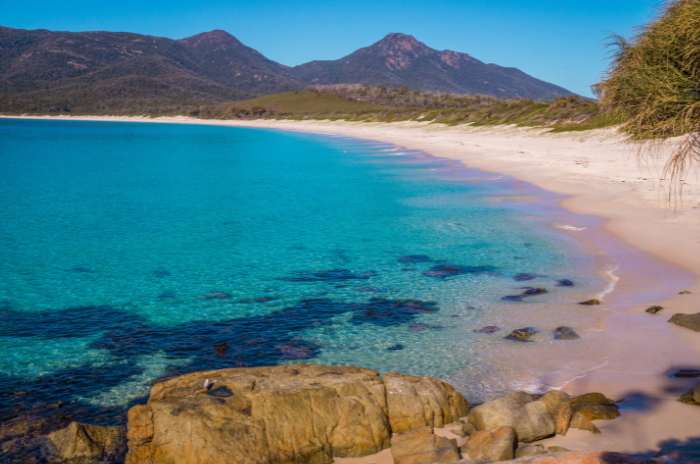 1 Day Wineglass Bay Tour from Hobart