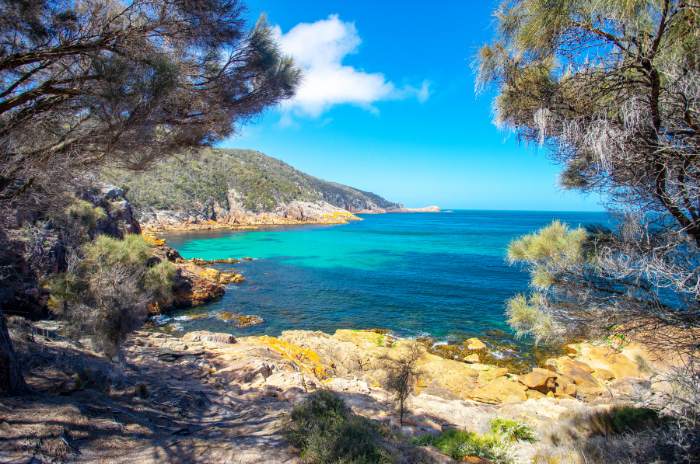 Hobart to Launceston Tour with Wine Glass Bay (3)