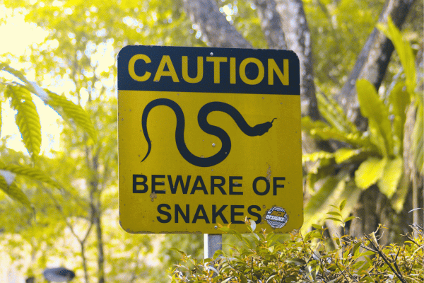 Snake sign 1 