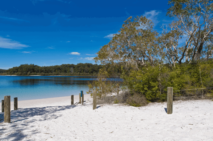 Fraser Island Noosa – Gallery 1