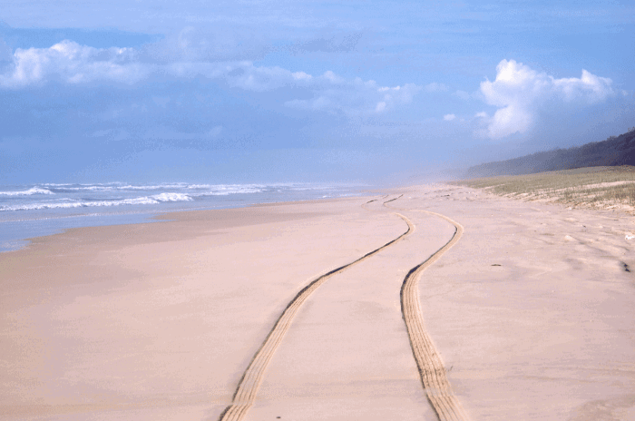 Fraser Island Noosa – Gallery 4