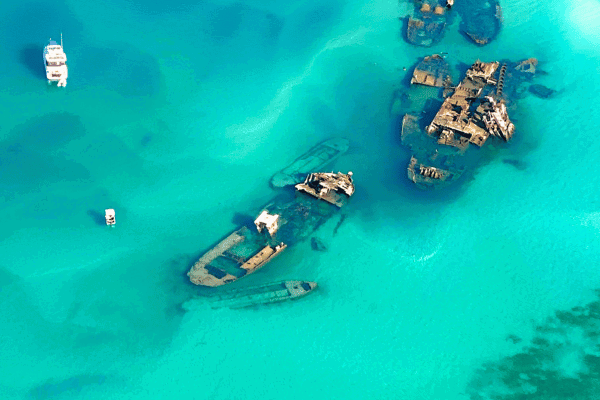 The Most Unique Snorkelling Experience in Australia: The Tangalooma Wrecks