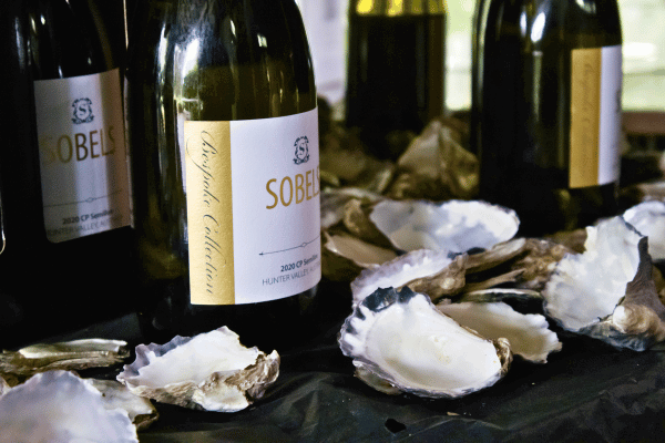 Wine tour tips Main site SSTA 2 Wine tour tips Main site SSTA 2