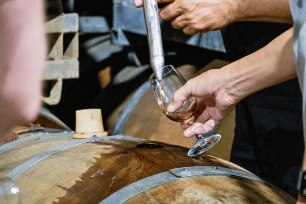 5 Tips for an Amazing Wine Tour