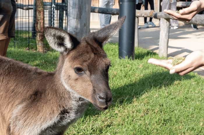 Private BM – Gallery 4