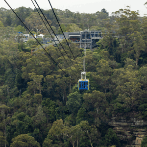 Blue Mountains Private Tour