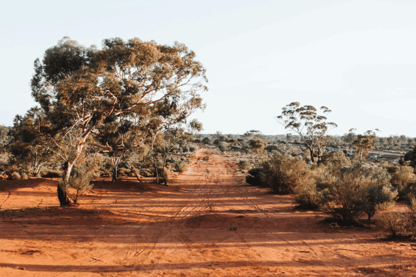 Touring Australia vs Self-Driving