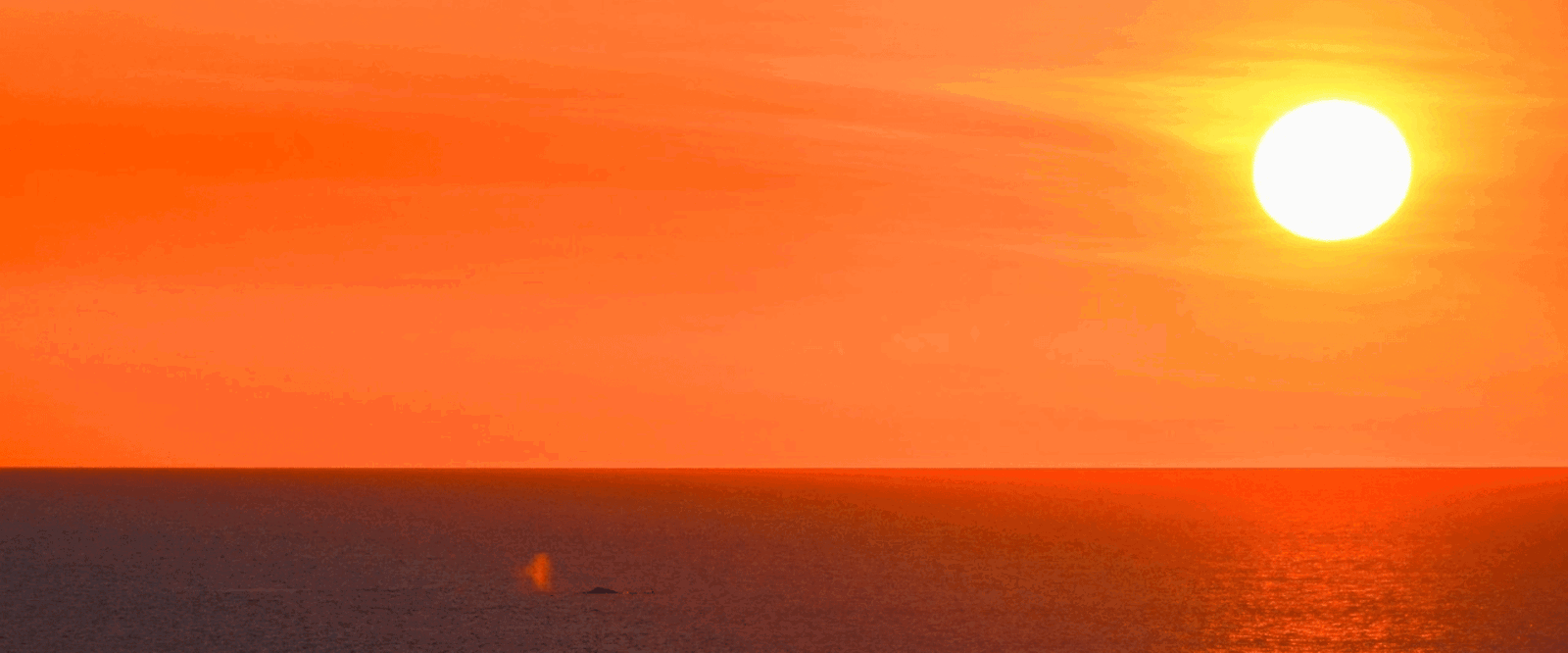 Your Guide to Australia’s UV Index