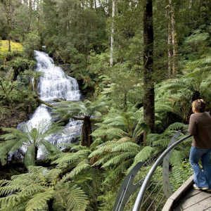 great-otway-national-park-300px